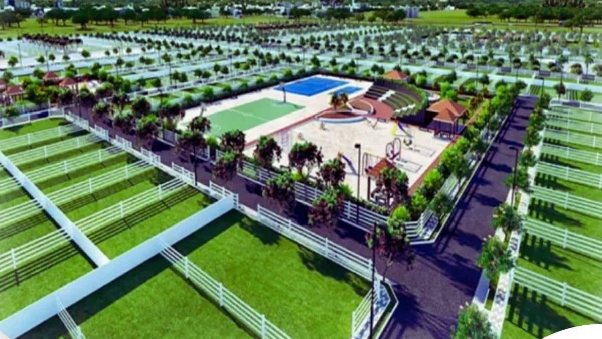 हरियाणा सरकार दे रही है आवासीय प्लॉट खरीदने का मौका, 13 नवंबर है रजिस्ट्रेशन की आखिरी तारीख, जानें पूरी प्रक्रिया हरियाणा सरकार दे रही है आवासीय प्लॉट खरीदने का मौका, 13 नवंबर है रजिस्ट्रेशन की आखिरी तारीख, जानें पूरी प्रक्रिया