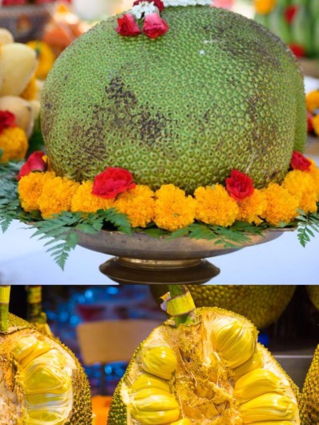 कटहल में होते हैं कई तरह के विटामिन और मिनरल्स, जानकर आप हो जाएंगे हैरान