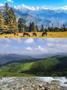 गर्मी से बचने के लिए यूरोप नहीं, भारत की इन जगहों का करें प्लान