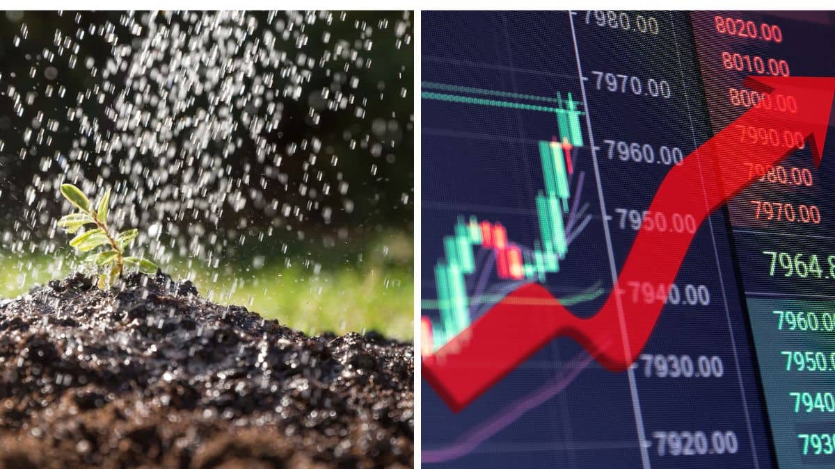 चीते की तरह भागा ये फर्टिलाइजर स्टॉक, सऊदी की कंपनी से किया डील; दे चुका है मल्टीबैगर रिटर्न चीते की तरह भागा ये फर्टिलाइजर स्टॉक, सऊदी की कंपनी से किया डील; दे चुका है मल्टीबैगर रिटर्न