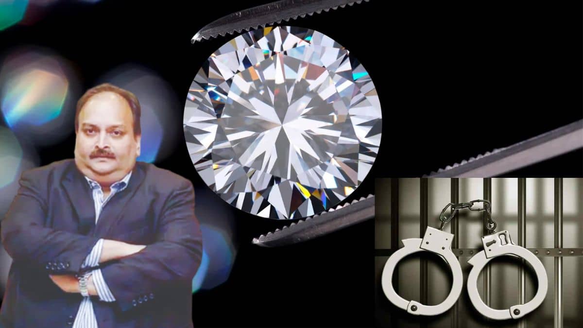 PNB घोटाले का मास्टरमाइंड मेहुल चोकसी बेल्जियम में गिरफ्तार, तहव्वुर राणा की तरह क्या आएगा भारत? PNB घोटाले का मास्टरमाइंड मेहुल चोकसी बेल्जियम में गिरफ्तार, तहव्वुर राणा की तरह क्या आएगा भारत?