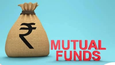 VIP समेत इन 5 कंपनियों पर Mutual funds फिदा, इस साल जमकर किया निवेश, 2000% तक दिया रिटर्न, देखें पूरी लिस्ट VIP समेत इन 5 कंपनियों पर Mutual funds फिदा, इस साल जमकर किया निवेश, 2000% तक दिया रिटर्न, देखें पूरी लिस्ट