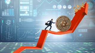 Cryptocurrency में बड़ा धमाका, Bitcoin हुआ 100000 डॉलर के पार, Ethereum और Solana भी दौड़ में