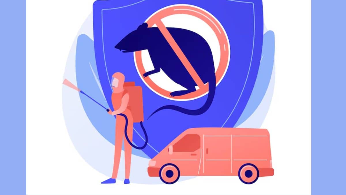 इन आसान टिप्स से अपनी कार को चूहों से बचाएं, वरना लग सकती है हजारों की चपत इन आसान टिप्स से अपनी कार को चूहों से बचाएं, वरना लग सकती है हजारों की चपत