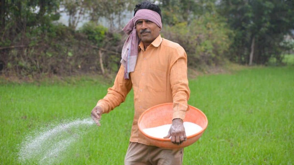 इंटरनेशनल मार्केट में DAP की फिर बढ़ी कीमतें, सरकार पर बढ़ेगा बोझ, फिलहाल किसानों पर असर नहीं इंटरनेशनल मार्केट में DAP की फिर बढ़ी कीमतें, सरकार पर बढ़ेगा बोझ, फिलहाल किसानों पर असर नहीं