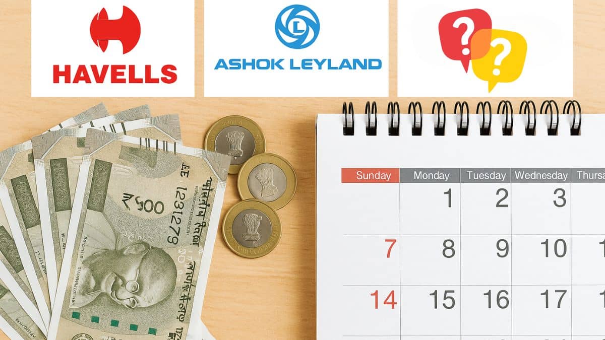 Havells से लेकर Ashok Leyland तक, ये 9 कंपनियां अगले सप्ताह देंगी 200 रुपये तक का डिविडेंड, नोट कर लें डेट Havells से लेकर Ashok Leyland तक, ये 9 कंपनियां अगले सप्ताह देंगी 200 रुपये तक का डिविडेंड, नोट कर लें डेट
