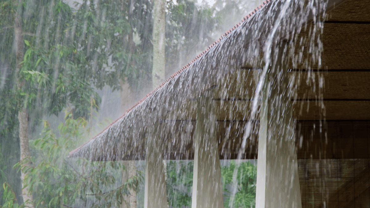 भारत-पाक टेंशन के बीच अच्छी खबर, चार दिन पहले दस्तक देगा मानसून; जमकर होगी बारिश भारत-पाक टेंशन के बीच अच्छी खबर, चार दिन पहले दस्तक देगा मानसून; जमकर होगी बारिश