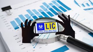 इन 5 स्टॉक्स पर LIC ने खेला बड़ा दांव, कर डाला ₹100 करोड़ का निवेश, रखें रडार पर!