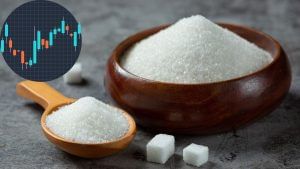 ये शुगर स्टॉक पोर्टफोलियो में भरेगा मिठास, ब्रोकरेज बोला-45 फीसदी आएगी तेजी, रखें रडार पर! ये शुगर स्टॉक पोर्टफोलियो में भरेगा मिठास, ब्रोकरेज बोला-45 फीसदी आएगी तेजी, रखें रडार पर!