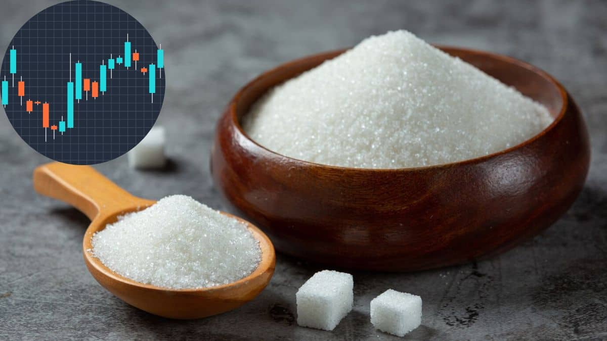 सरकार का बड़ा फैसला, चीनी निर्यात पर तुरंत बैन, सितंबर तक लागू रहेगी रोक; इन शेयरों में दिखेगी हलचल! सरकार का बड़ा फैसला, चीनी निर्यात पर तुरंत बैन, सितंबर तक लागू रहेगी रोक; इन शेयरों में दिखेगी हलचल!