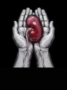 Kidneys की सेहत के लिए रामबाण हैं ये 5 फूड्स