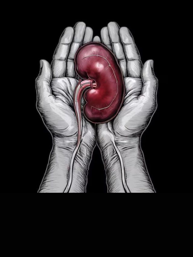 Kidneys की सेहत के लिए रामबाण हैं ये 5 फूड्स