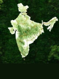 भारत के ये राज्‍य हैं सबसे ज्‍यादा हरे-भरे