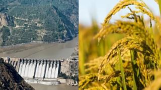 अब भूख से तड़पेगा पाकिस्तान, फसलें होगी बर्बाद, भारत की सख्ती से 21 फीसदी कम मिलेगा पानी