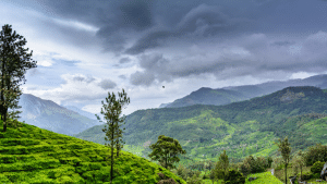 मानसून ने दी पहले दस्तक, जानें आपके राज्य में कब होगी झमाझम बारिश