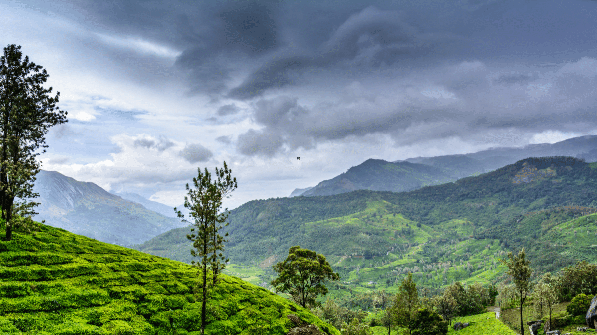 मानसून ने दी पहले दस्तक, जानें आपके राज्य में कब होगी झमाझम बारिश मानसून ने दी पहले दस्तक, जानें आपके राज्य में कब होगी झमाझम बारिश