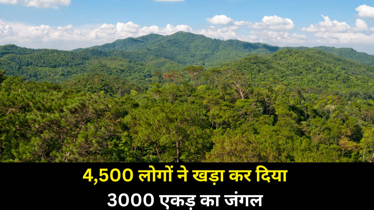 अपने दम पर 12 गांव वालों ने खड़ा कर दिया 3000 एकड़ का जंगल, तालाब लबालब, फसलों का उत्पादन बढ़ा अपने दम पर 12 गांव वालों ने खड़ा कर दिया 3000 एकड़ का जंगल, तालाब लबालब, फसलों का उत्पादन बढ़ा