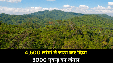 अपने दम पर 12 गांव वालों ने खड़ा कर दिया 3000 एकड़ का जंगल, तालाब लबालब, फसलों का उत्पादन बढ़ा