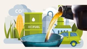 Petrol Diesel Big Update: सरकार का बड़ा फैसला Ethanol लेगा Petrol की जगह?