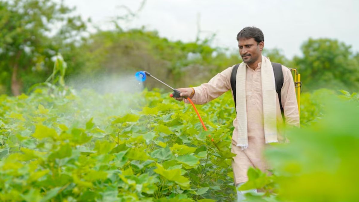 रेयर अर्थ के बाद चीन का भारत को एक और झटका, अब लगाया इस फर्टिलाइजर पर बैन, एग्रीकल्चर सेक्टर पर दिखेगा असर