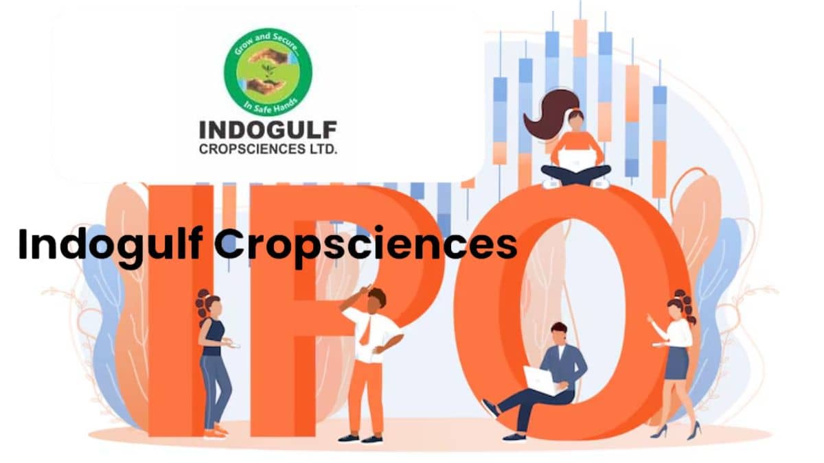 Indogulf Cropsciences IPO आज से खुला, निवेश से पहले जानें कंपनी की ताकत और कमजोरी, 30 जून तक मौका Indogulf Cropsciences IPO आज से खुला, निवेश से पहले जानें कंपनी की ताकत और कमजोरी, 30 जून तक मौका