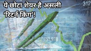 5 साल और 50 हजार बना 30 लाख! इस शेयर ने बदली निवेशकों की किस्मत; GAIL-Aditya Birla जैसे दिग्गज हैं कस्टमर 5 साल और 50 हजार बना 30 लाख! इस शेयर ने बदली निवेशकों की किस्मत; GAIL-Aditya Birla जैसे दिग्गज हैं कस्टमर