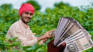 कब आएगी पीएम किसान की 20वीं किस्त? आप भी पूरा कर लीजिए ये काम, वरना नहीं मिलेगा पैसा कब आएगी पीएम किसान की 20वीं किस्त? आप भी पूरा कर लीजिए ये काम, वरना नहीं मिलेगा पैसा