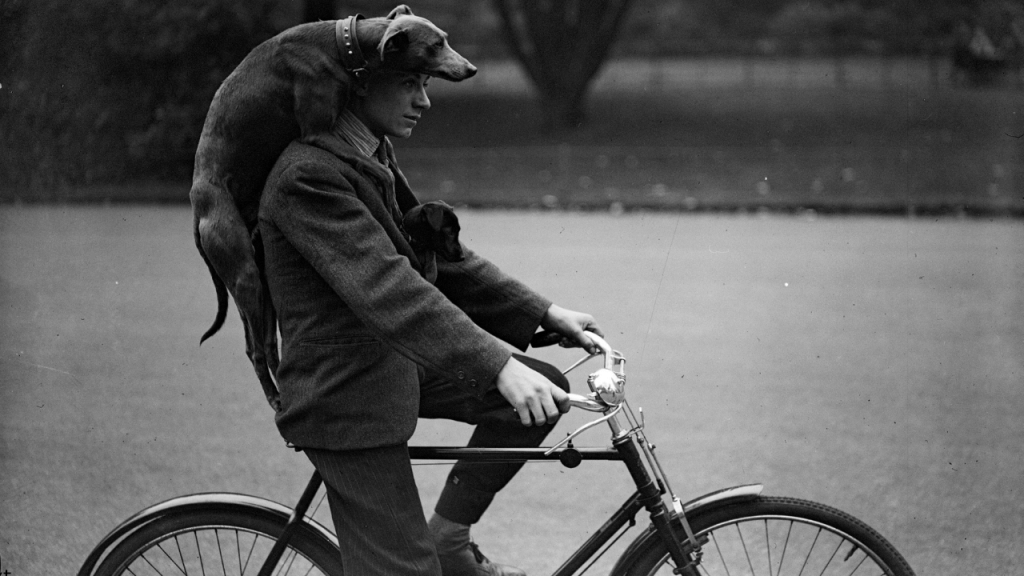 विश्व साइकिल दिवस पर देखें ये मजेदार तस्वीरें, आ जाएगी पुराने दिनों की याद