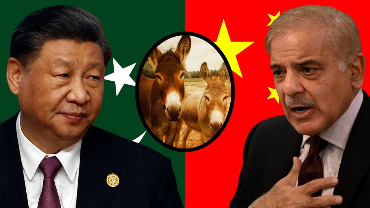 चीन ने पाकिस्तान को दिया बड़ा झटका, सबसे बड़े रेल प्रोजेक्ट की फंडिंग रोकी, फिर कर्ज मांगेगा ‘फेल्ड मार्शल’ चीन ने पाकिस्तान को दिया बड़ा झटका, सबसे बड़े रेल प्रोजेक्ट की फंडिंग रोकी, फिर कर्ज मांगेगा ‘फेल्ड मार्शल’