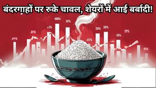 ईरान को जा रहा चावल एक्सपोर्ट रुका! 70 साल पुरानी कंपनी के शेयरों को लगा झटका, बाकी बड़े प्लेयर्स को भी नुकसान