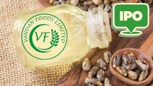 Vandan Foods IPO: सब्सक्रिप्शन के लिए ओपन, निवेश से पहले जानें प्राइस बैंड, कंपनी की कमाई और बाकी डिटेल्स Vandan Foods IPO: सब्सक्रिप्शन के लिए ओपन, निवेश से पहले जानें प्राइस बैंड, कंपनी की कमाई और बाकी डिटेल्स