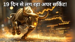 बाप रे! 19 दिनों से लगातार अपर सर्किट में है ये स्मॉल-कैप स्टॉक, एक साल में दिया 480% से ज्यादा रिटर्न बाप रे! 19 दिनों से लगातार अपर सर्किट में है ये स्मॉल-कैप स्टॉक, एक साल में दिया 480% से ज्यादा रिटर्न