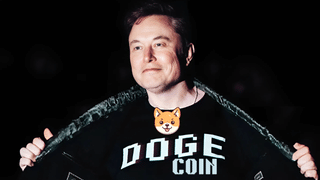 Dogecoin Price Prediction: बुलिश मोड में मस्क का फेवरेट मीमकॉइन, क्या जुलाई में कराएगा 300% कमाई?