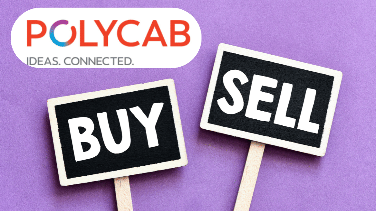 Polycab के दमदार Q1 नतीजों के बाद Equirus ने बढ़ाया टारगेट प्राइस, साथ में बताया रिस्क फैक्टर; जानें डिटेल में Polycab के दमदार Q1 नतीजों के बाद Equirus ने बढ़ाया टारगेट प्राइस, साथ में बताया रिस्क फैक्टर; जानें डिटेल में