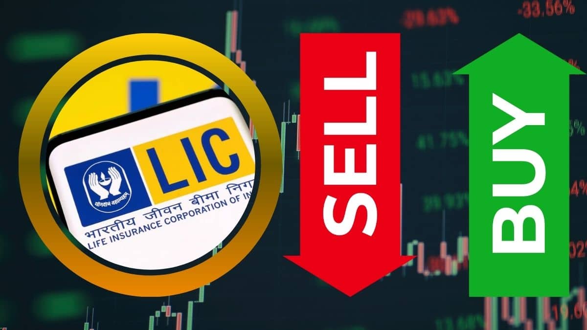 AI के डर में बिक रहे थे IT शेयर, LIC ने लगाया बड़ा दांव; सिर्फ 35 दिन में कमा लिए 21000 करोड़ रुपये AI के डर में बिक रहे थे IT शेयर, LIC ने लगाया बड़ा दांव; सिर्फ 35 दिन में कमा लिए 21000 करोड़ रुपये