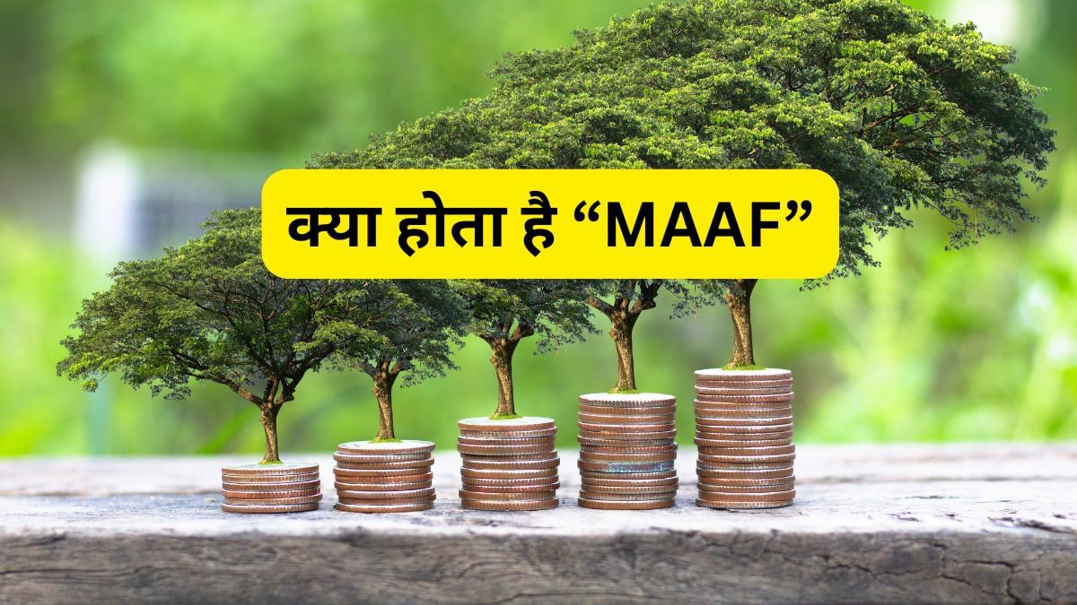 ‘आपने MAAF किया क्या’, शेयर से लेकर गोल्ड में लगता है आपका पैसा, 3 साल में दिया 22% से ज्यादा रिटर्न ‘आपने MAAF किया क्या’, शेयर से लेकर गोल्ड में लगता है आपका पैसा, 3 साल में दिया 22% से ज्यादा रिटर्न