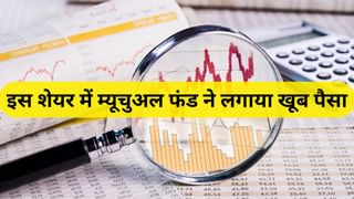 गिरावट में भी बना बाजार का सूरज! सोलर प्रोजेक्ट ने बदल दी तस्वीर, म्यूचुअल फंड ने दिल खोल लगाया पैसा!