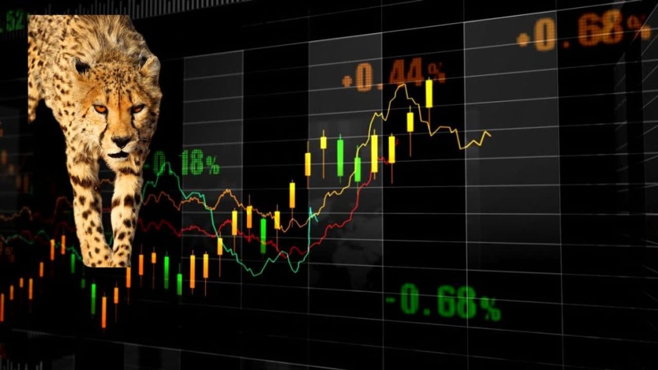 Stocks to Watch: 3 दिसंबर को इन 12 शेयरों में रहेगी हलचल, फंड जुटाने से लेकर अधिग्रहण तक बड़े अपडेट्स