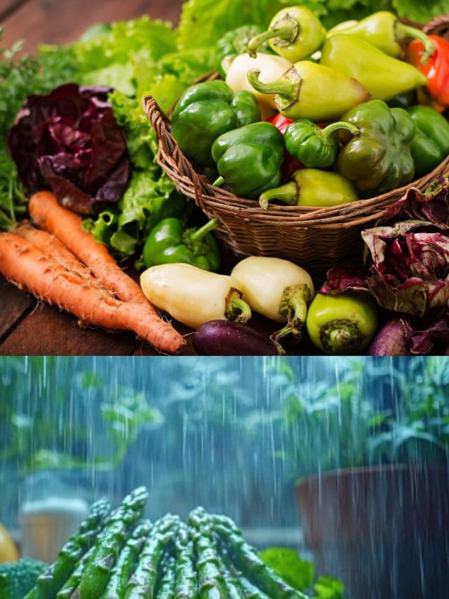सिर्फ बारिश में होती है इन 8 सब्जियों की बहार, जानें इनके फायदे