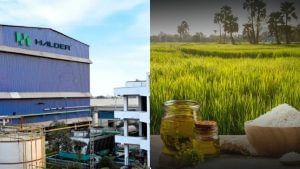 2000% तक रिटर्न दे चुकी FMCG कंपनी के शेयरों में फिर हलचल, लगा अपर सर्किट, बांटेगी बोनस शेयर 2000% तक रिटर्न दे चुकी FMCG कंपनी के शेयरों में फिर हलचल, लगा अपर सर्किट, बांटेगी बोनस शेयर