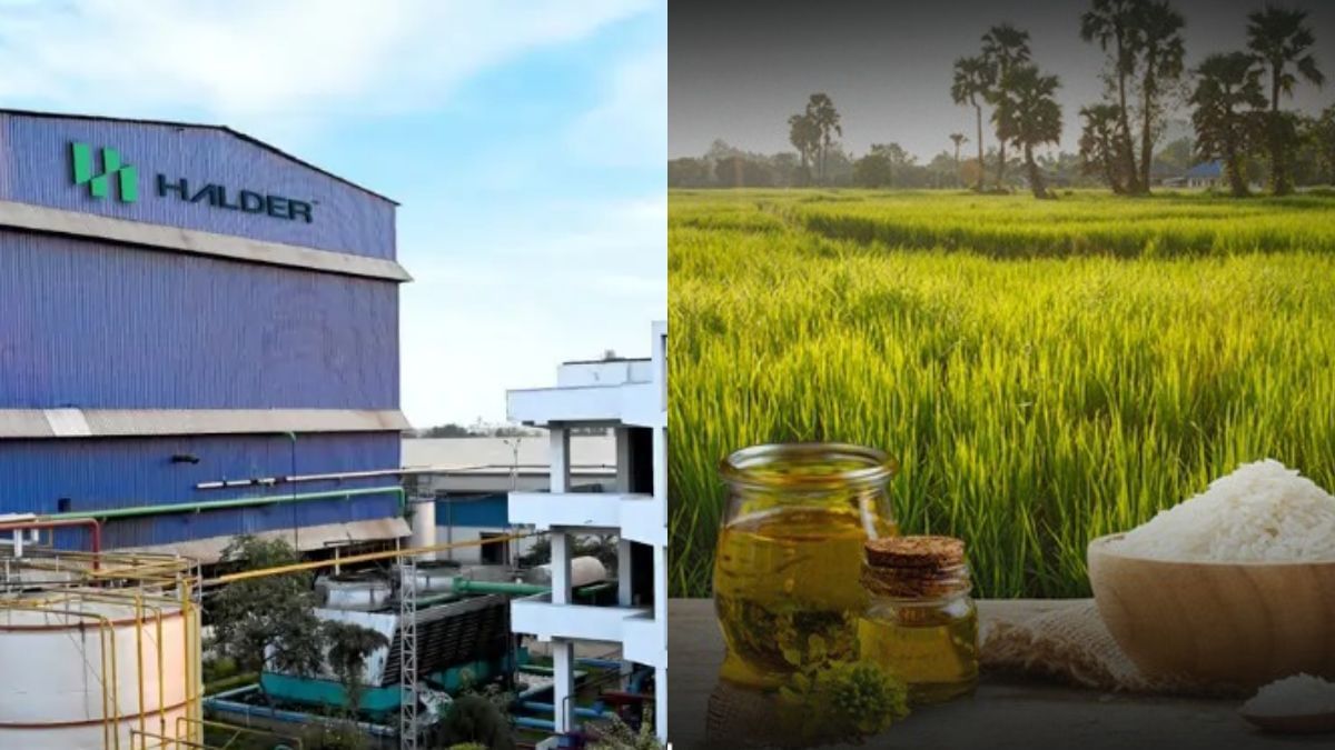 2000% तक रिटर्न दे चुकी FMCG कंपनी के शेयरों में फिर हलचल, लगा अपर सर्किट, बांटेगी बोनस शेयर 2000% तक रिटर्न दे चुकी FMCG कंपनी के शेयरों में फिर हलचल, लगा अपर सर्किट, बांटेगी बोनस शेयर