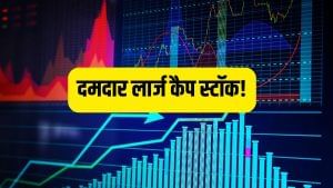 कैश फ्लो से लेकर मुनाफे तक के मोर्चे पर धाक, इन 3 शेयरों ने दिया 881% तक का जबरदस्त रिटर्न! कैश फ्लो से लेकर मुनाफे तक के मोर्चे पर धाक, इन 3 शेयरों ने दिया 881% तक का जबरदस्त रिटर्न!