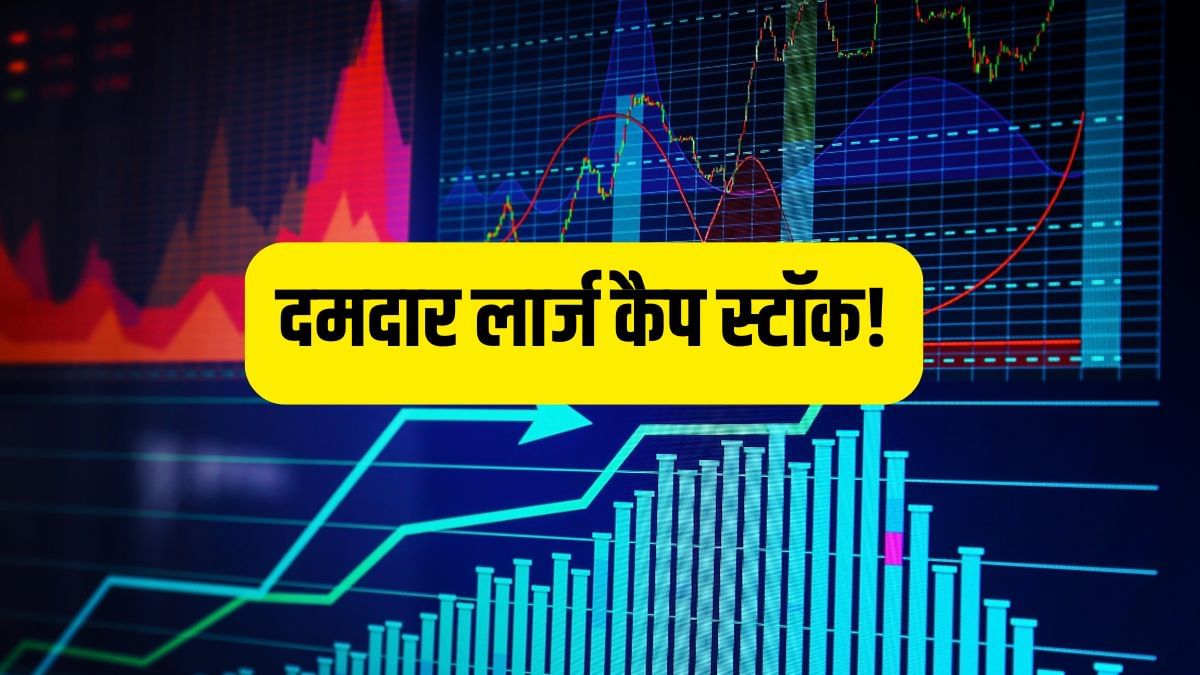 कैश फ्लो से लेकर मुनाफे तक के मोर्चे पर धाक, इन 3 शेयरों ने दिया 881% तक का जबरदस्त रिटर्न! कैश फ्लो से लेकर मुनाफे तक के मोर्चे पर धाक, इन 3 शेयरों ने दिया 881% तक का जबरदस्त रिटर्न!