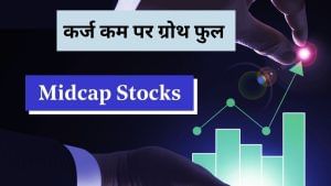 कम कर्ज फिर भी ज्यादा मुनाफा दे रहीं ये 5 मिड कैप्स कंपनियां, निवेशक रखें नजर, भर सकती हैं ग्रोथ की उड़ान कम कर्ज फिर भी ज्यादा मुनाफा दे रहीं ये 5 मिड कैप्स कंपनियां, निवेशक रखें नजर, भर सकती हैं ग्रोथ की उड़ान