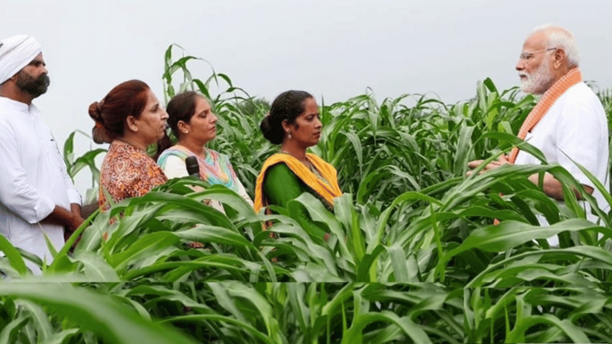 देशभर के किसानों की बल्ले-बल्ले, 30 लाख किसानों को फसल बीमा के तहत मिलेंगे 3,200 करोड़ रुपये; यहां देखें पूरी डिटेल