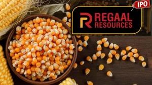 Regaal Resources IPO में निवेशकों ने दिखाई दिलचस्पी, एक लॉट में 144 शेयर; GMP दे रहा ऐसा संकेत Regaal Resources IPO में निवेशकों ने दिखाई दिलचस्पी, एक लॉट में 144 शेयर; GMP दे रहा ऐसा संकेत