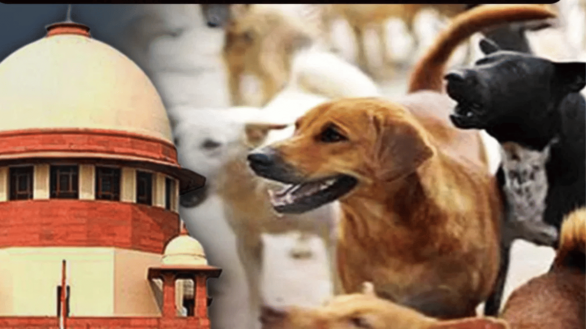 डॉग लवर्स की बड़ी जीत, सुप्रीम कोर्ट ने वैक्सीनेशन व नसबंदी के बाद आवारा कुत्तों को छोड़ने का दिया आदेश