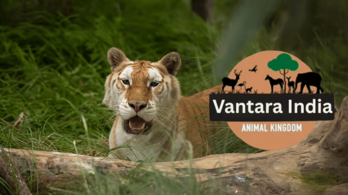 सुप्रीम कोर्ट ने Vantara की जांच के लिए SIT का किया गठन, जानवरों को लाने और मौत के कारण समेत इन मुद्दों की होगी जांच सुप्रीम कोर्ट ने Vantara की जांच के लिए SIT का किया गठन, जानवरों को लाने और मौत के कारण समेत इन मुद्दों की होगी जांच