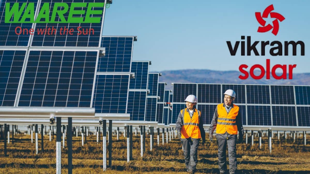 Vikram Solar पर कौन लगा रहा सबसे ज्यादा दांव, कहां पहुंचा GMP, Waaree Energies के मुकाबले कैसी सेहत Vikram Solar पर कौन लगा रहा सबसे ज्यादा दांव, कहां पहुंचा GMP, Waaree Energies के मुकाबले कैसी सेहत
