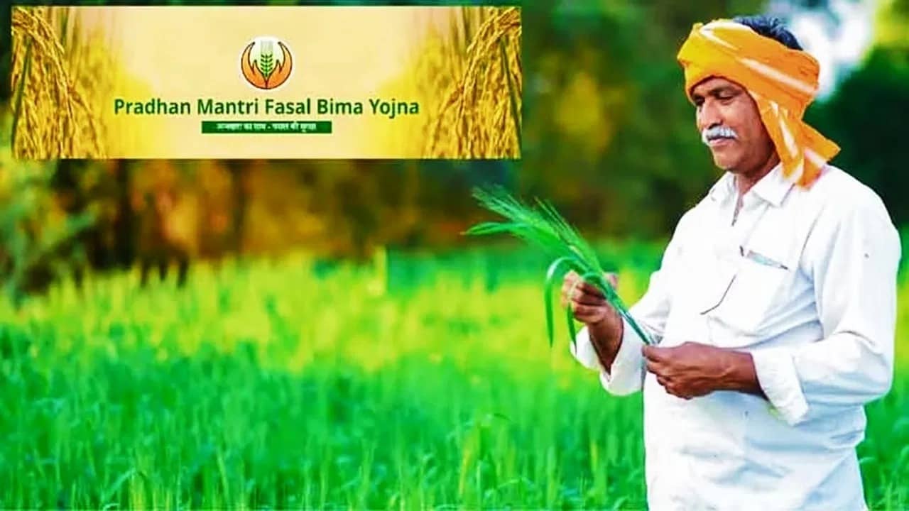 PMFBY के तहत 30 लाख किसानों को मिलेगी बीमा राशि, सोमवार को शिवराज सिंह चौहान करेंगे ₹3200 करोड़ डिजिटली ट्रांसफर PMFBY के तहत 30 लाख किसानों को मिलेगी बीमा राशि, सोमवार को शिवराज सिंह चौहान करेंगे ₹3200 करोड़ डिजिटली ट्रांसफर